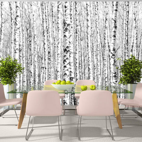 Papier Peint "Birch Forest" 175 x 250 cm