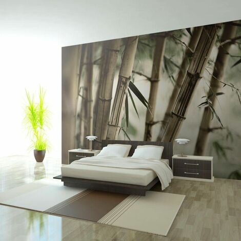 Papier peint brouillard et forêt de bambous - 450 x 270 cm - Beige et Vert