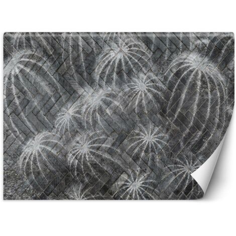 Papier peint Cactus fleurs gris 400x280
