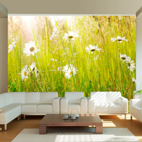 Papier Peint "Champ de Marguerites" 270 x 350 cm