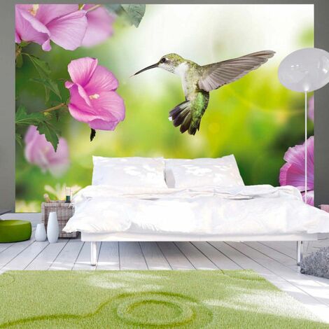 Papier peint colibri