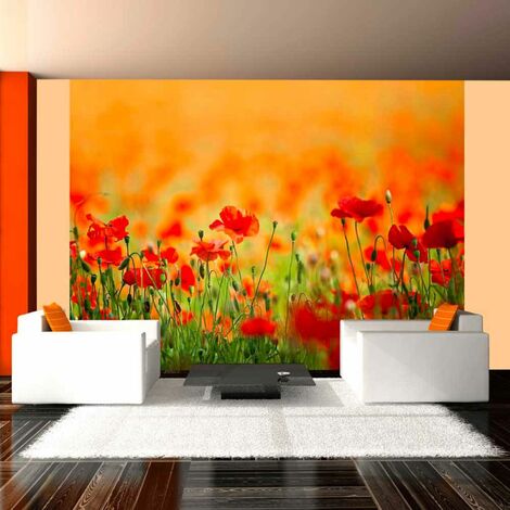 Papier peint coquelicots, beaux jours d'été