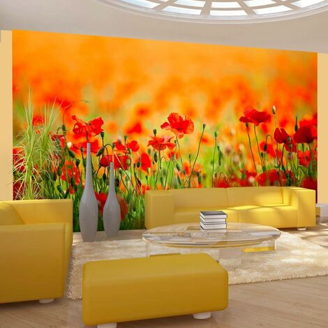 Papier peint coquelicots, beaux jours d'été - 450 x 270 cm - Orange et Rouge