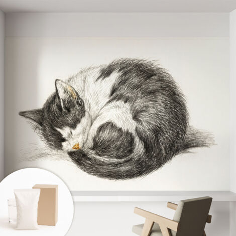 Papier peint décoratif avec colle pour salon, chambre à coucher et bureau – Design moderne et facile à poser Charmant chaton 152x104 cm