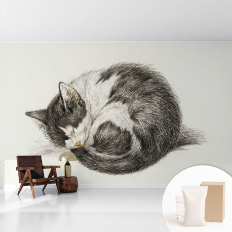 Papier peint décoratif avec colle pour salon, chambre à coucher et bureau – Design moderne et facile à poser Charmant chaton 416x254 cm