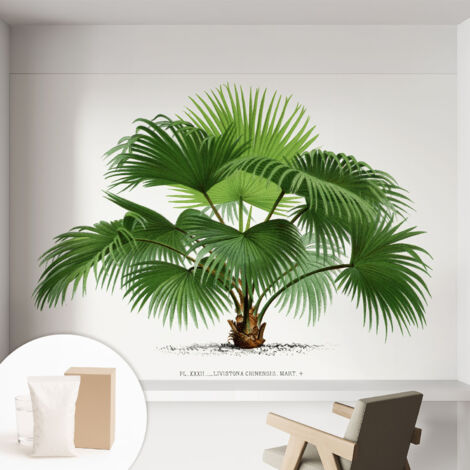 Papier peint décoratif avec colle pour salon, chambre à coucher et bureau – Design moderne et facile à poser Palmier exotique 152x104 cm