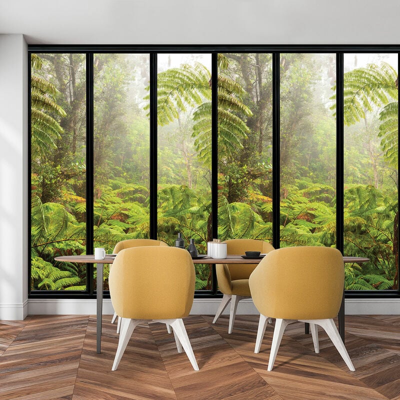 Papier peint, fenêtre sur fougères
