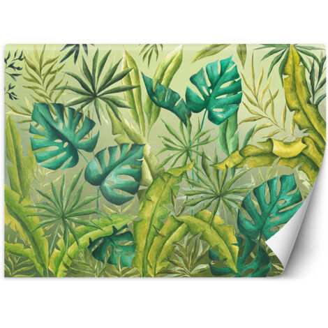 Papier peint Feuilles de Monster 450x315