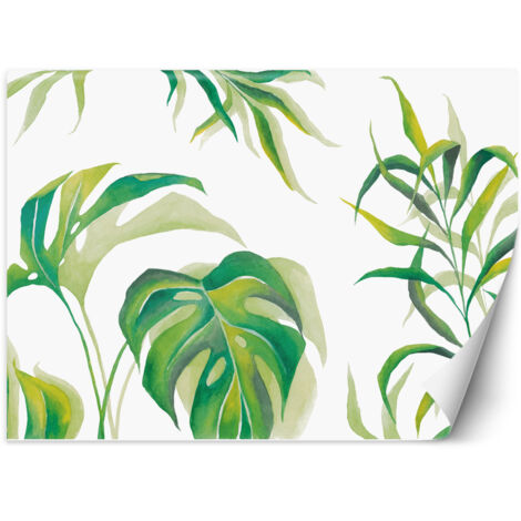 Papier peint Feuilles de monstera 300x210