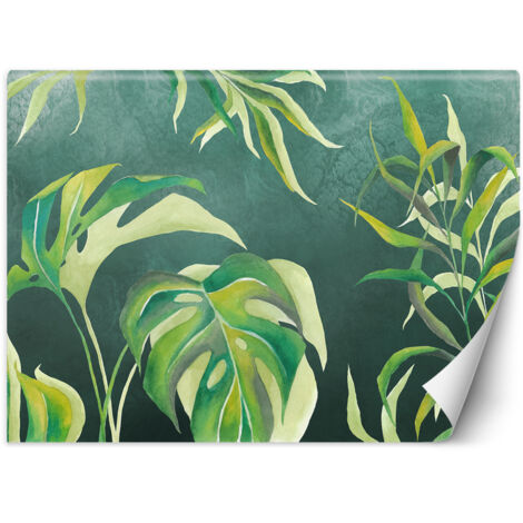 Papier peint Feuilles de monstera 300x210