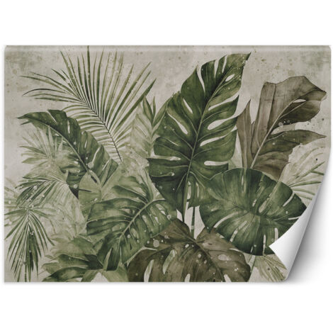 Papier peint Feuilles de monstres tropicaux 300x210