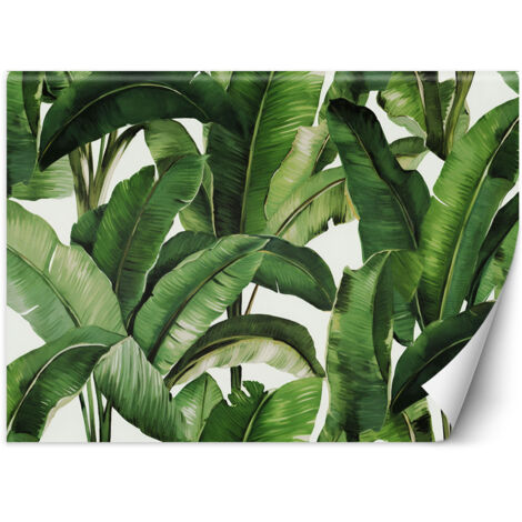 Papier peint Feuilles tropicales vertes 100x70