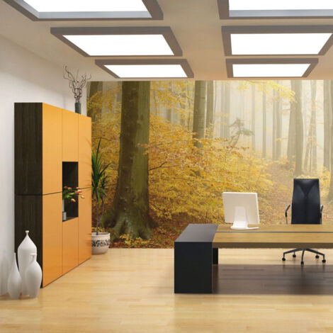 Papier Peint "Forêt Automne" 270 x 350 cm