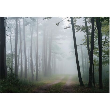 Papier peint forêt dans le brouillard, nature et paysage – 250 x 175 cm papier peint intissé Wallarena