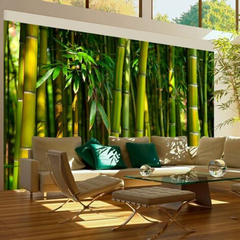Papier peint forêt de bambous asiatique - 450 x 270 cm - Vert