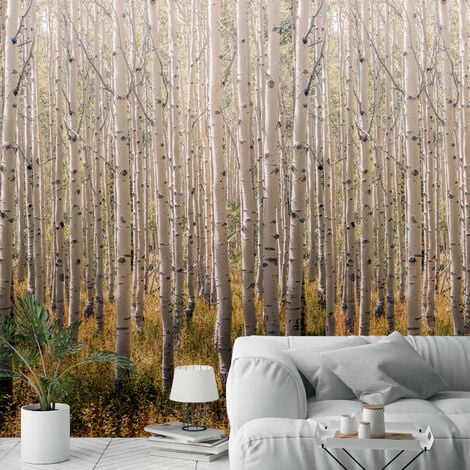 Papier peint forêt de bouleaux 159x280cm
