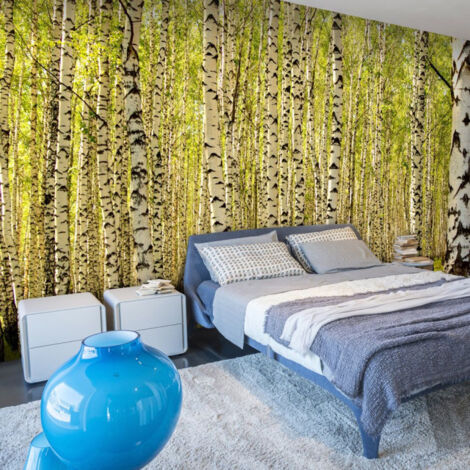 Papier Peint "Forêt de Bouleaux II" 450x270cm