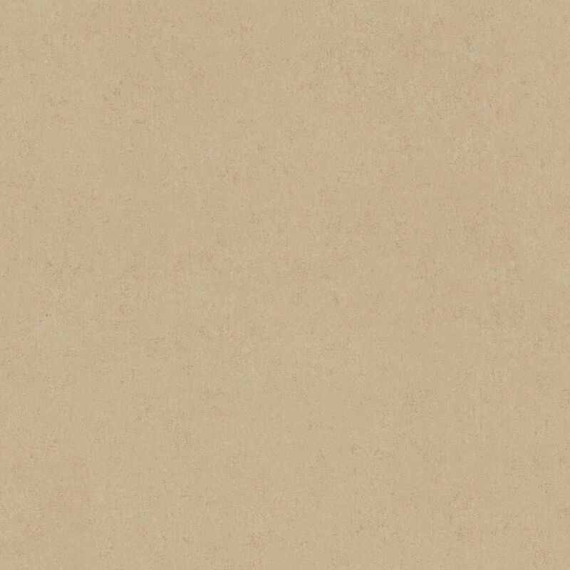 Papier peint intissé beige marroné Tapisserie unie style classique Papier peint contemporain idéal pour cuisine et bureau