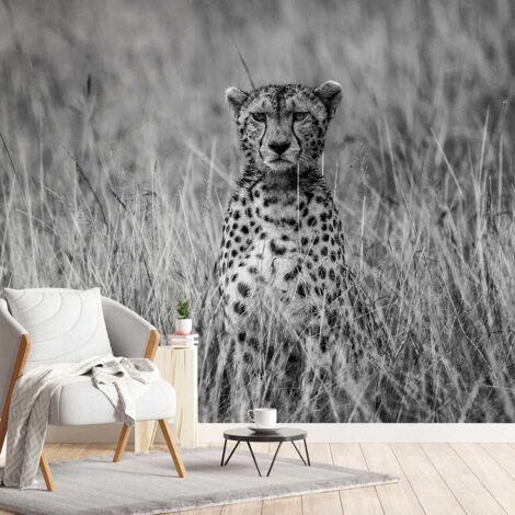 Papier peint guépard dans la savane papier peint