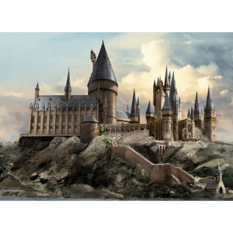 Papier peint Harry Potter Château de Poudlard effet 3D – Dimensions 252 x 182 cm – Blue-back Paper – Colle incluse – Ag Art