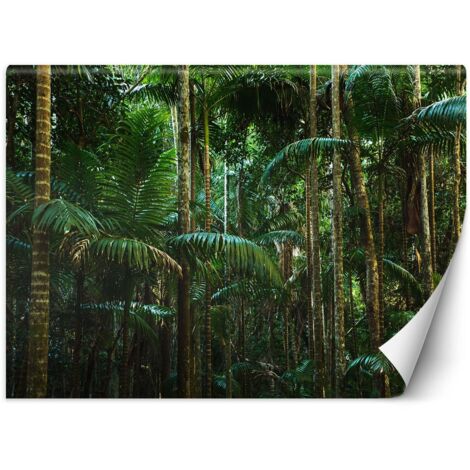Papier peint Hauts palmiers 350x245