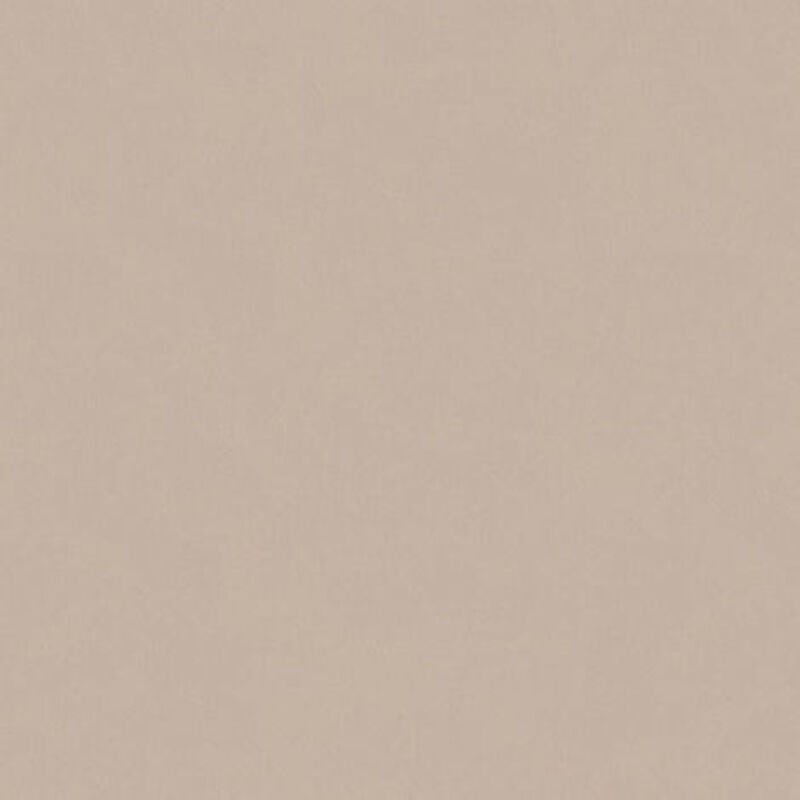 A.s.creations - Papier peint 307256 bricoflor Longlife Colours - Beige,