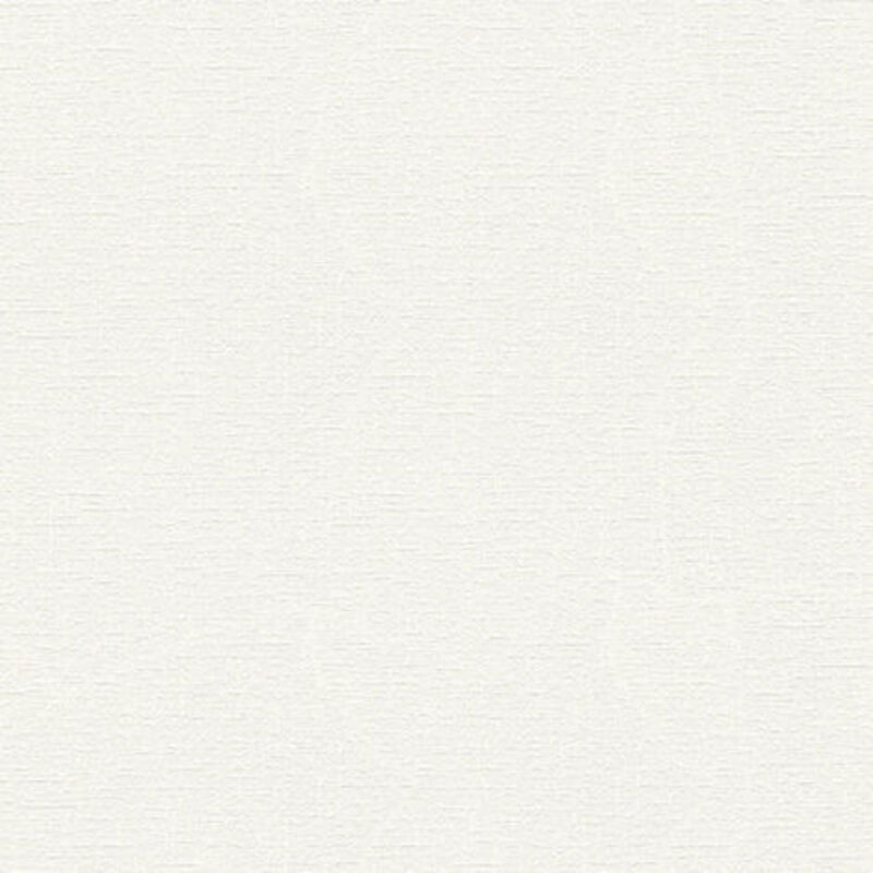 Papier peint intissé blanc avec structure Papier peint pour salon et couloir simplement à peindre Le papier peint uni texturé blanc