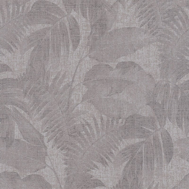 A.s.creations - Papier peint nature à motifs Tapisserie grise style tropical jungle idéale salon Papier peint feuillage anthracite pour chambre