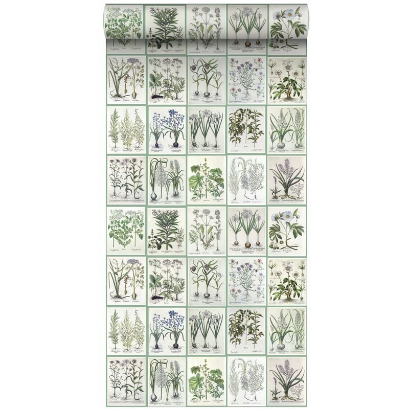 papier peint intissé XXL pages d'un livre botanique avec fleurs et plantes vert - ESTAhome