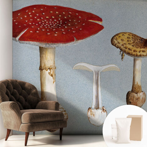 Papier peint intissé classique moderne pour salon et chambre à coucher Décoration rapide avec colle Gravures de champignons 250x250 cm