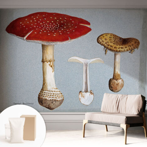 Papier peint intissé classique moderne pour salon et chambre à coucher Décoration rapide avec colle Gravures de champignons 312x219 cm