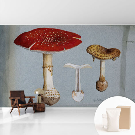 Papier peint intissé classique moderne pour salon et chambre à coucher Décoration rapide avec colle Gravures de champignons 416x254 cm