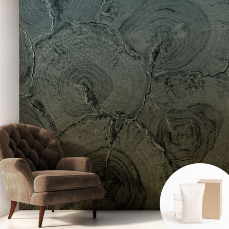 Papier peint intissé décoratif avec colle pour salon chambre et bureau Installation rapide Cernes de bois 250x250 cm