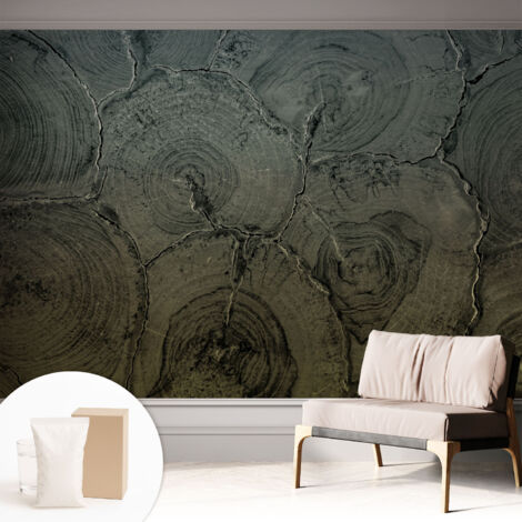 Papier peint intissé décoratif avec colle pour salon chambre et bureau Installation rapide Cernes de bois 312x219 cm