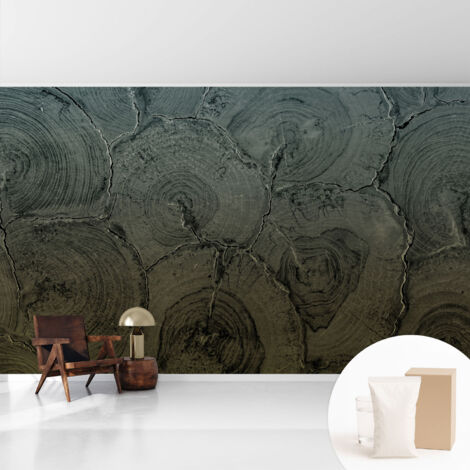 Papier peint intissé décoratif avec colle pour salon chambre et bureau Installation rapide Cernes de bois 416x254 cm
