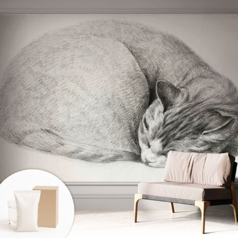 Papier peint intissé décoratif avec motifs pour salon et chambre a motif - Colle incluse gratuite Chat recroquevillé 312x219 cm