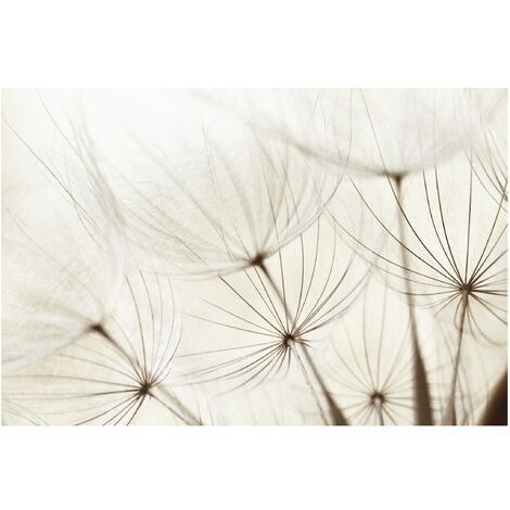 Papier peint intissé herbes douces - Peinture murale Grand - Dimension HxL: 320cm x 480cm