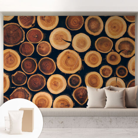 Papier peint intissé mural avec colle pour salon et chambre Décoration murale rapide - Colle incluse gratuite Cercles de bois 208x146 cm
