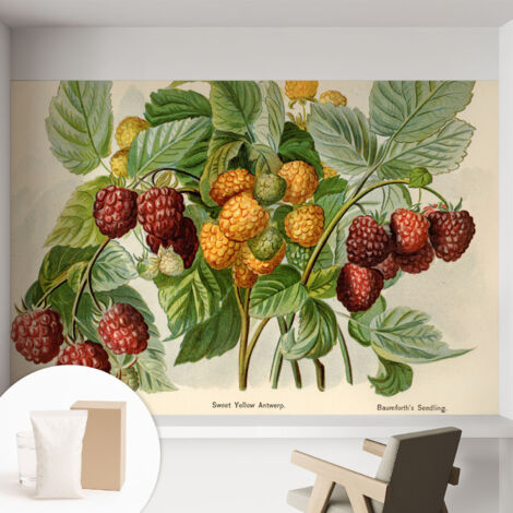 Papier peint intissé mural avec imprimé pour décoration pour salon pour chambre à coucher pour entrée Framboises classiques 152x104 cm