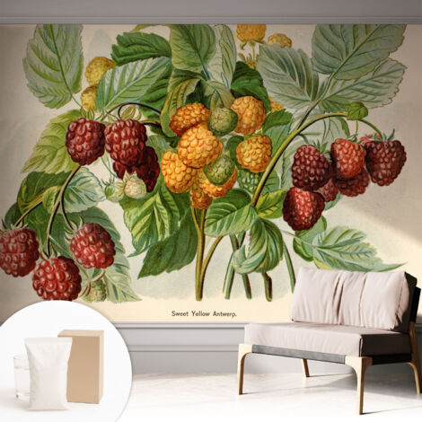 Papier peint intissé mural avec imprimé pour décoration pour salon pour chambre à coucher pour entrée Framboises classiques 312x219 cm