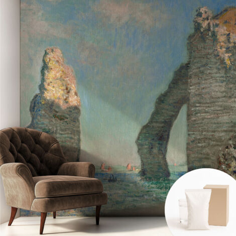 Papier peint intissé mural avec imprimé pour décoration pour salon pour chambre à coucher pour entrée Paysage rocheux 250x250 cm