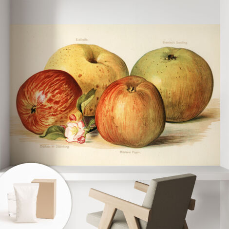 Papier peint intissé mural avec imprimé pour décoration pour salon pour chambre à coucher pour entrée Pommes et fleurs 104x70 cm
