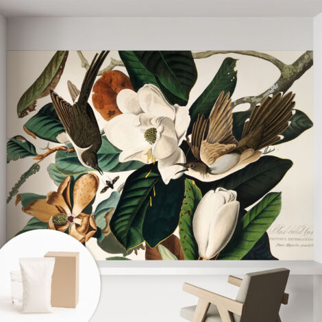 Papier peint intissé mural pour salon chambre à coucher tendance et originale - Colle incluse gratuite Oiseaux et magnolias 152x104 cm