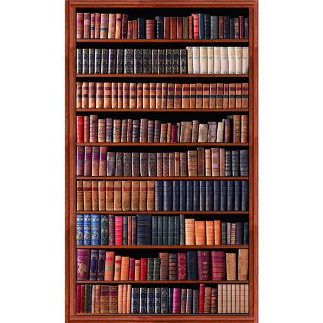 Papier peint intissé panoramique 250 cm x 150 cm – Motif bibliothèque ancienne – 100% français – Simple à poser – Plage