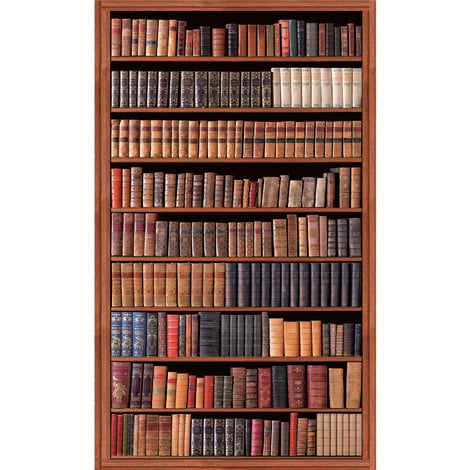 Papier peint intissé panoramique, 250 cm X 150 cm, photo d'une bibliothèque ancienne avec reliures en cuir - Marron