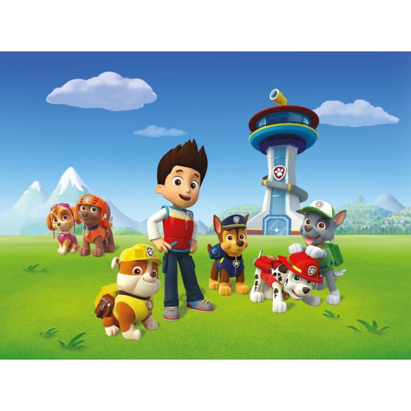 Papier Peint Intissé - Pat'Patrouille - modèle Ryder et ses amis 360 cm x 270 cm