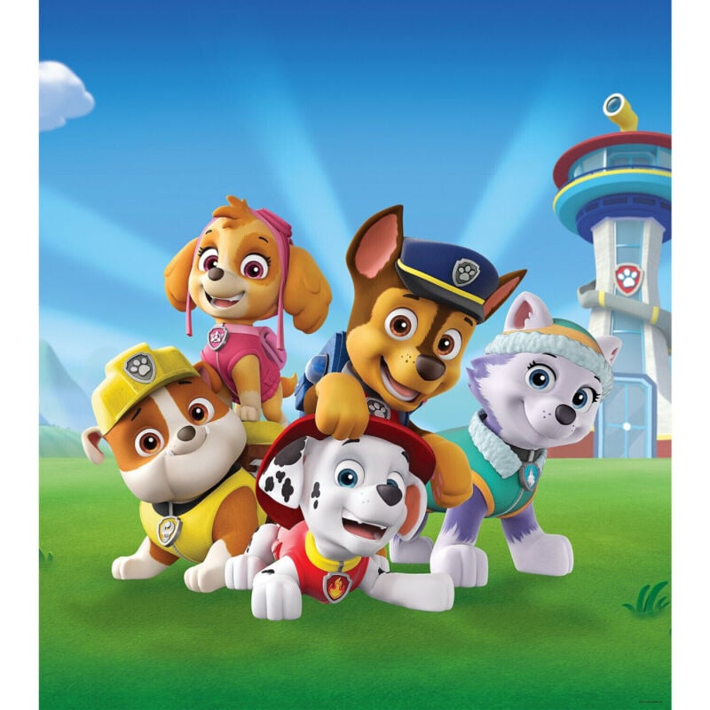 Ag Art - Papier peint intissé personnages Pat' Patrouille 180X202 cm