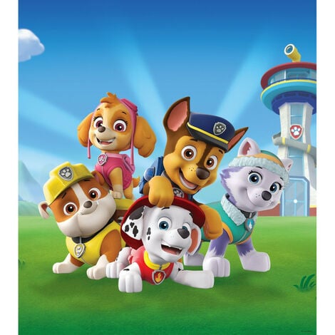 Tableau Pat'patrouille Bleu Ciel - Slogan Paw Patrol 4 Personnages