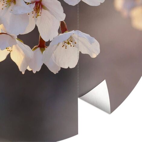 Papier peint intissé photo rond Fleurs de cerisier Papiers peints Arbre Bourgeons Tableau Ø1.4m - gris