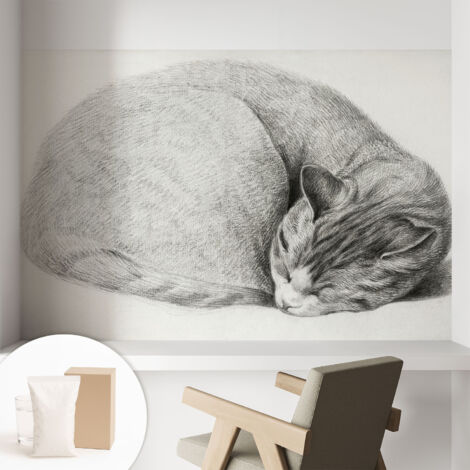 Papier peint intissé pour salon chambre à coucher peint imprimé Installation facile - Colle incluse gratuite Chat recroquevillé 104x70 cm